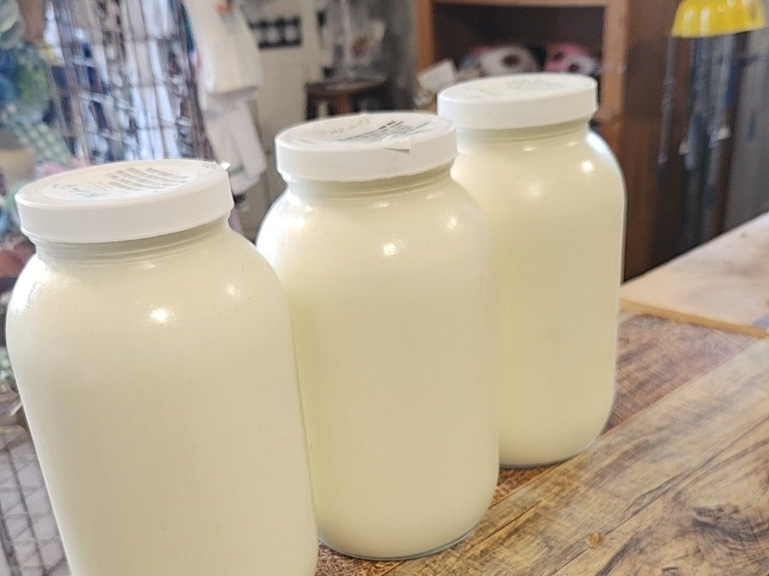 Abby+Costello+-+Snapchat-809766007 Three glass jars filled with creamy white yogurt are displayed on a wooden countertop, highlighting a rustic, homemade aesthetic.