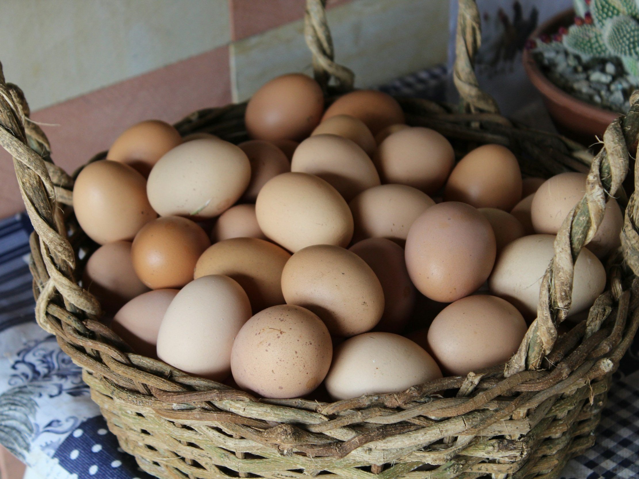 A woven basket filled with a variety of brown and tan eggs, showcasing fresh, organic produce on a rustic table setting.